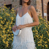 Samba - Elegance kustībā